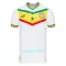 Senegal Hjemmebanetrøje VM 2022