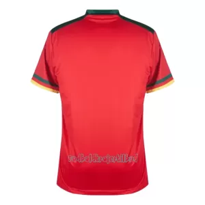 Cameroun 3. trøje VM 2022