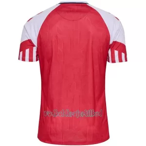 Danmark Hjemmebanetrøje 2023