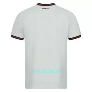 Bayer 04 Leverkusen Udebanetrøje 23/24