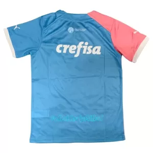 Palmeiras Trøje 23/24 Speciel