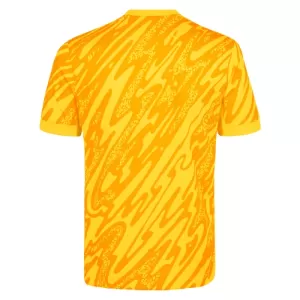 Tottenham Hotspur Målmand Trøje 24/25 Gul