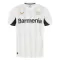 Bayer 04 Leverkusen Udebanetrøje 24/25