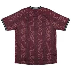 Danmark Trøje 24/25 Speciel