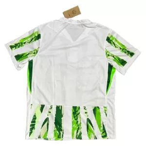 Nigeria Udebanetrøje 25/26