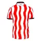 Stoke City Hjemmebanetrøje 25/26