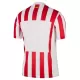 Atlético Madrid Hjemmebanetrøje 25/26