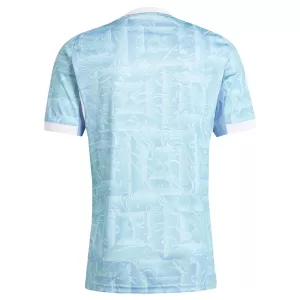 Juventus Udebanetrøje 25/26