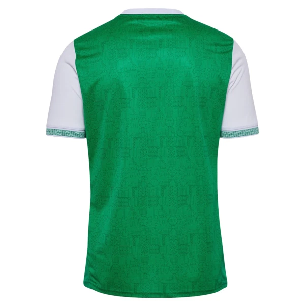 AS Saint-Étienne Hjemmebanetrøje 25/26