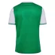 AS Saint-Étienne Hjemmebanetrøje 25/26
