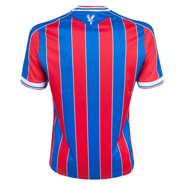 Crystal Palace Hjemmebanetrøje Barn 25/26