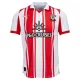 Southampton Hjemmebanetrøje 25/26 Southampton Hjemmebanetrøje 25/26