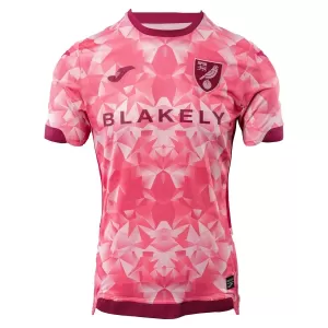 Norwich City 3. trøje 25/26