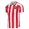 Sunderland Hjemmebanetrøje 26/27