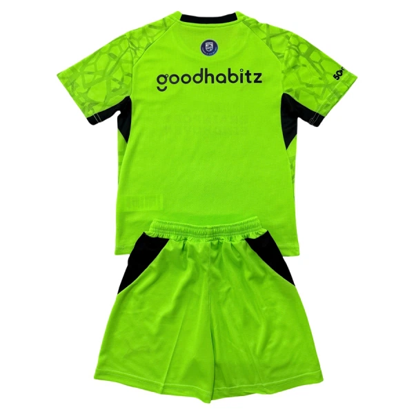 PSV Eindhoven Målmand Trøje Barn 26/27 Grøn